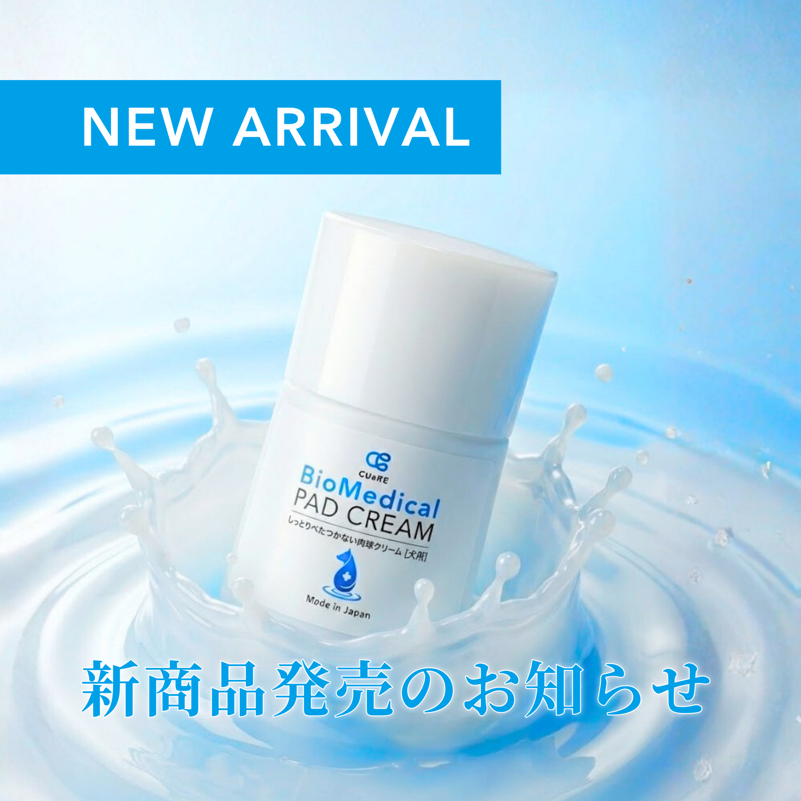 新商品のお知らせ